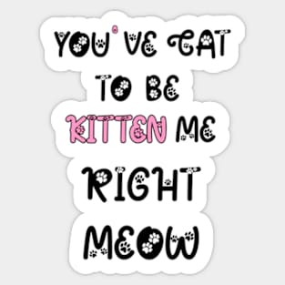 You Have Got To Be Kitten Me, For Cat Lovers, Cat Puns, Animal Puns Sticker